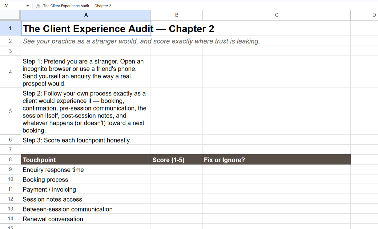 Client Experience Audit worksheet preview, one tab from the Template Pack